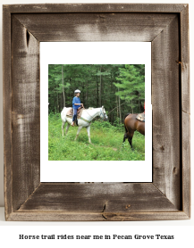 horse trail rides near me in Pecan Grove, Texas